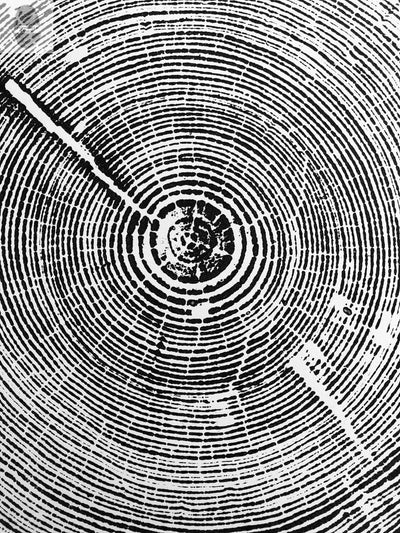 Alabama Tree Ring Print, Alabama Art Print