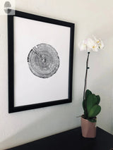 Black and white print of a detailed Alabama tree ring cross-section in a black frame, hung on a light wall above a dark surface with a white orchid plant in a brown pot.