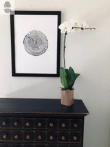 Black and white print of a tree cross-section with distinct rings in a black frame hanging on a white wall beside a tall orchid with white flowers in a pink pot on a dark wooden cabinet.