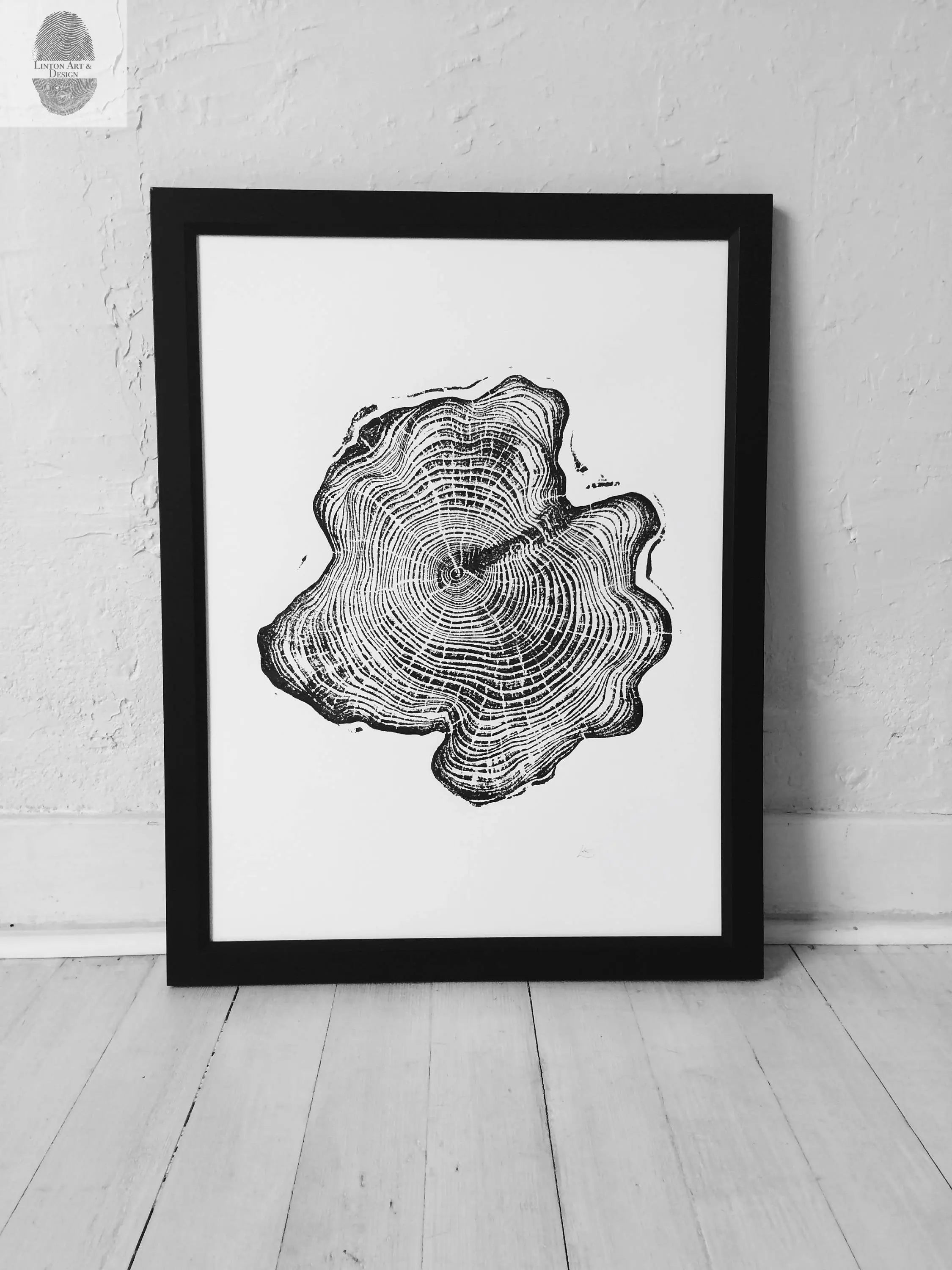 Alaska Cedar Wood Slice Wall Art by LintonArt