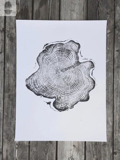 Alaska Cedar Wood Slice Wall Art by LintonArt