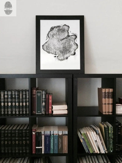 Alaska Cedar Wood Slice Wall Art by LintonArt