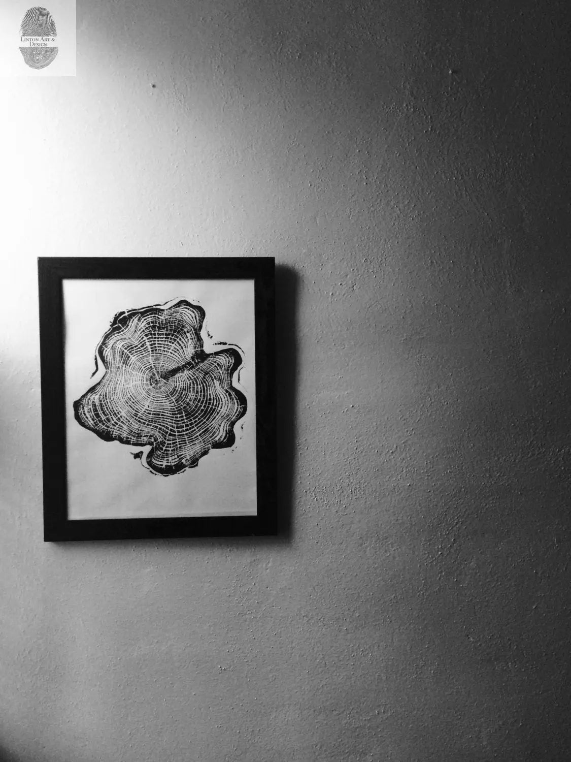 Alaska Cedar Wood Slice Wall Art by LintonArt