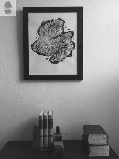 Alaska Cedar Wood Slice Wall Art by LintonArt