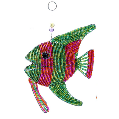 Angel Fish