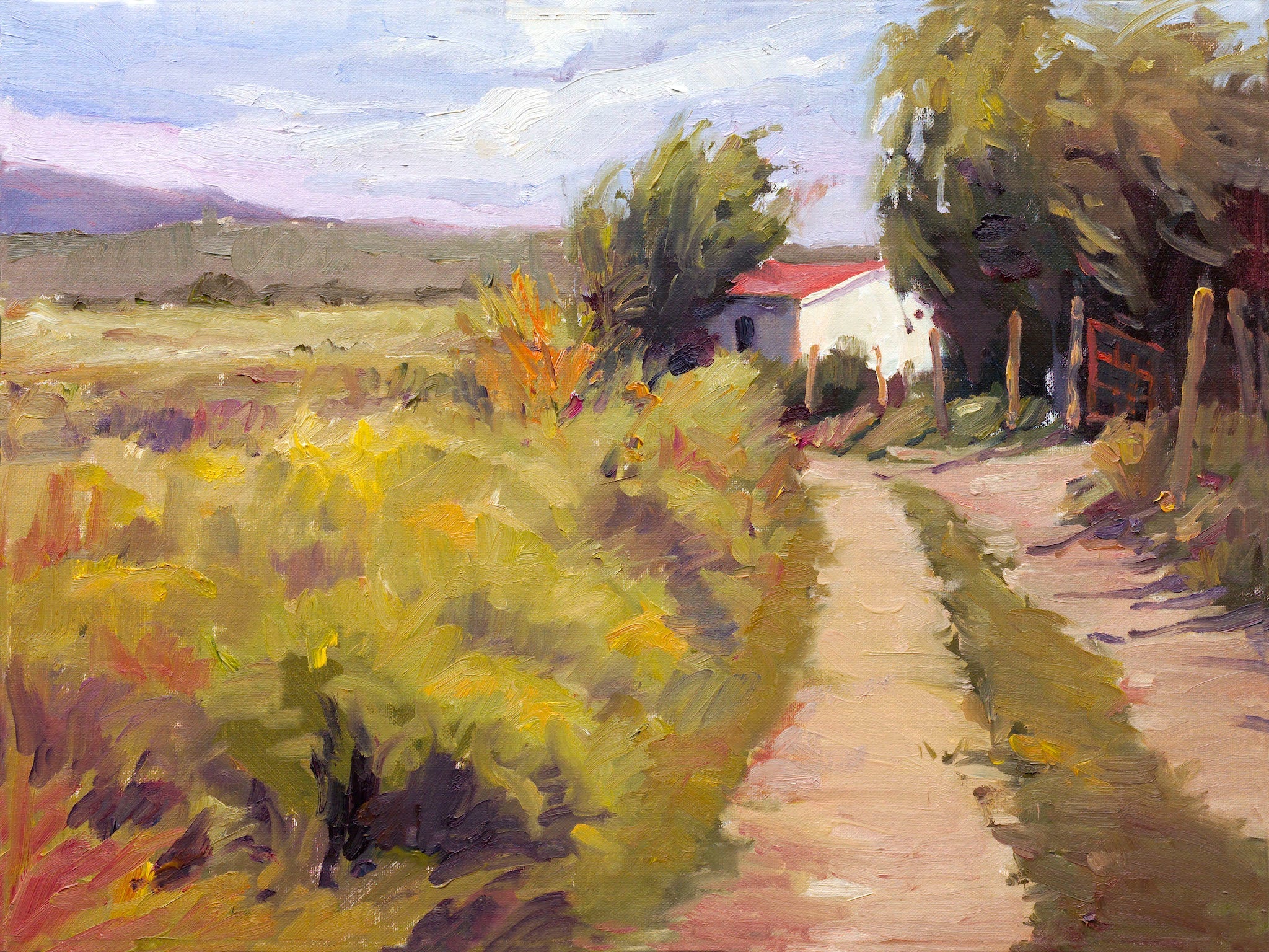Aroya Honda Artist Enhanced Canvas Print in a 24x30 inch size, displayed with a gallery wrap.