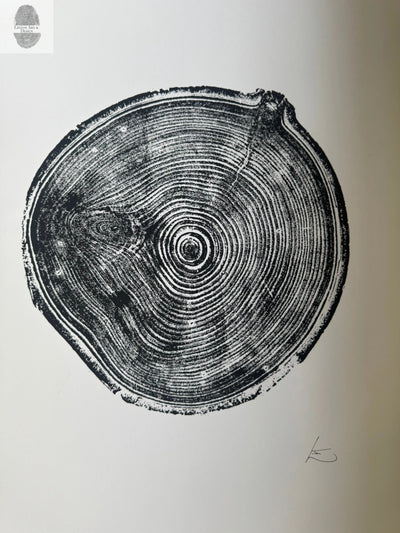Aspen Tree Ring Print – Carson, New Mexico – 18x24 Original Signed Woodcut
