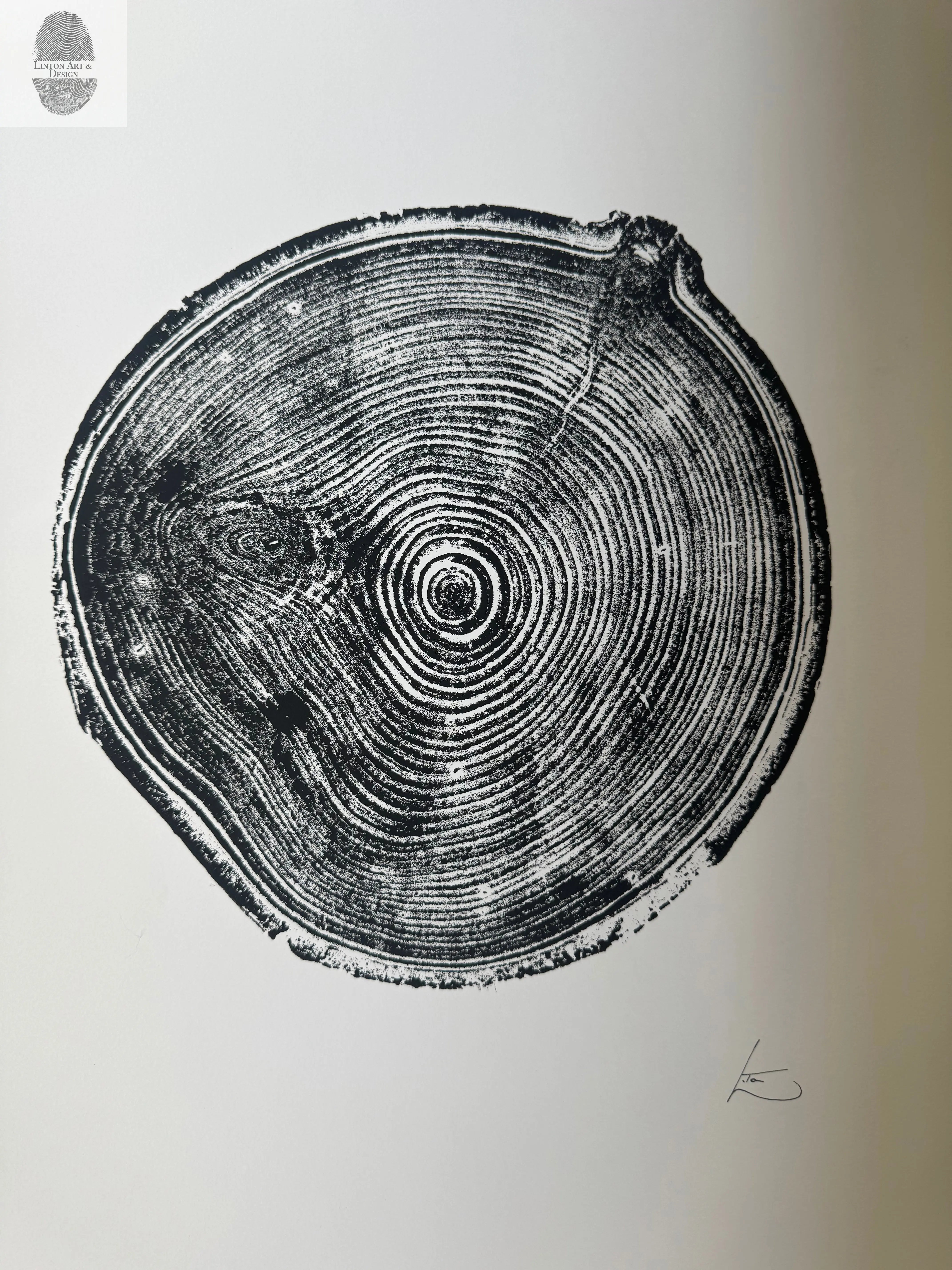Aspen Tree Ring Print – Carson, New Mexico – 18x24 Original Signed Woodcut