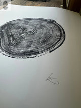 Black and white woodcut print showing detailed rings of an aspen tree cross-section with artist's signature in the bottom right corner on white paper.