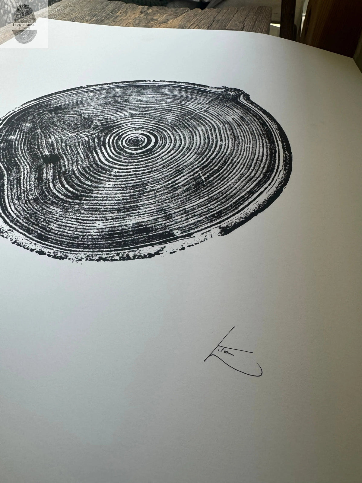 Black and white woodcut print showing detailed rings of an aspen tree cross-section with artist's signature in the bottom right corner on white paper.