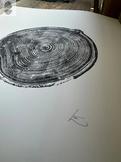 Aspen Tree Ring Print – Carson, New Mexico – 18x24 Original Signed Woodcut