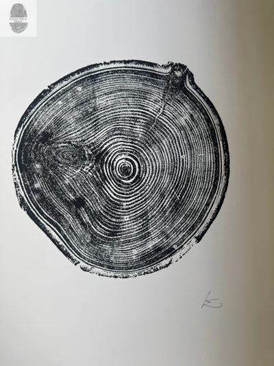 Aspen Tree Ring Print – Carson, New Mexico – 18x24 Original Signed Woodcut