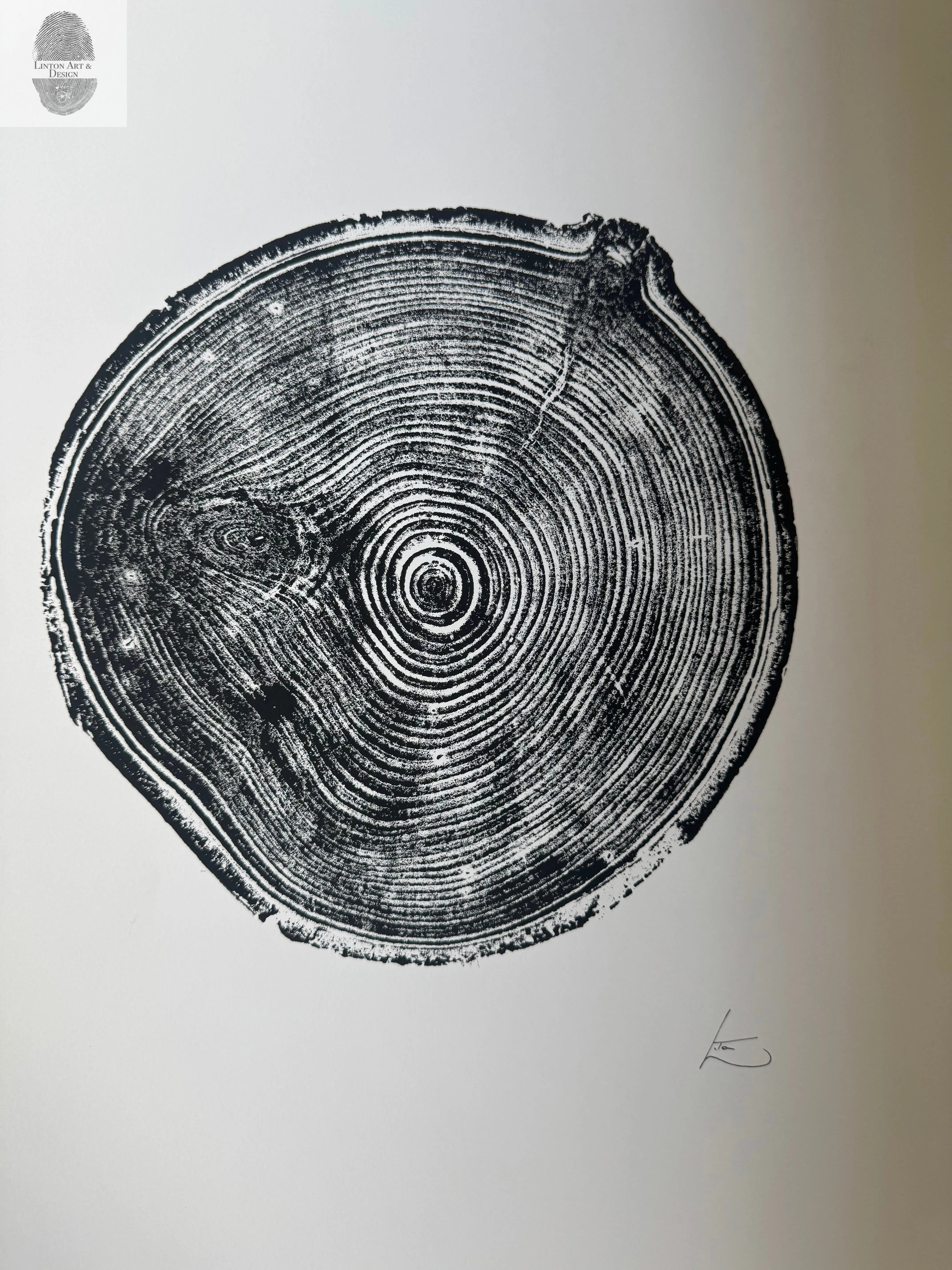 Aspen Tree Ring Print – Carson, New Mexico – 18x24 Original Signed Woodcut