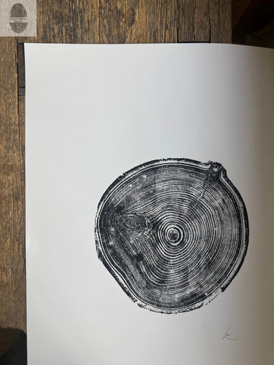 Aspen Tree Ring Print – Carson, New Mexico – 18x24 Original Signed Woodcut