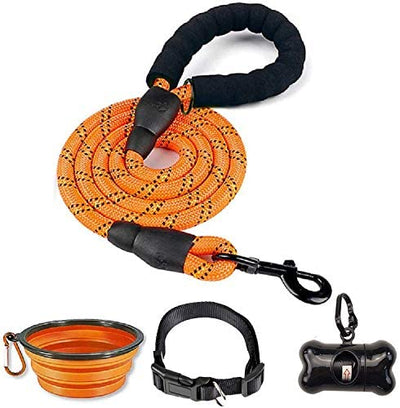 Orange 6-foot dog leash with padded handle and reflective strips