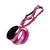 Pink iridescent snake-patterned 3-inch wide collar, matching harness and leash set with adjustable gold-tone buckles.