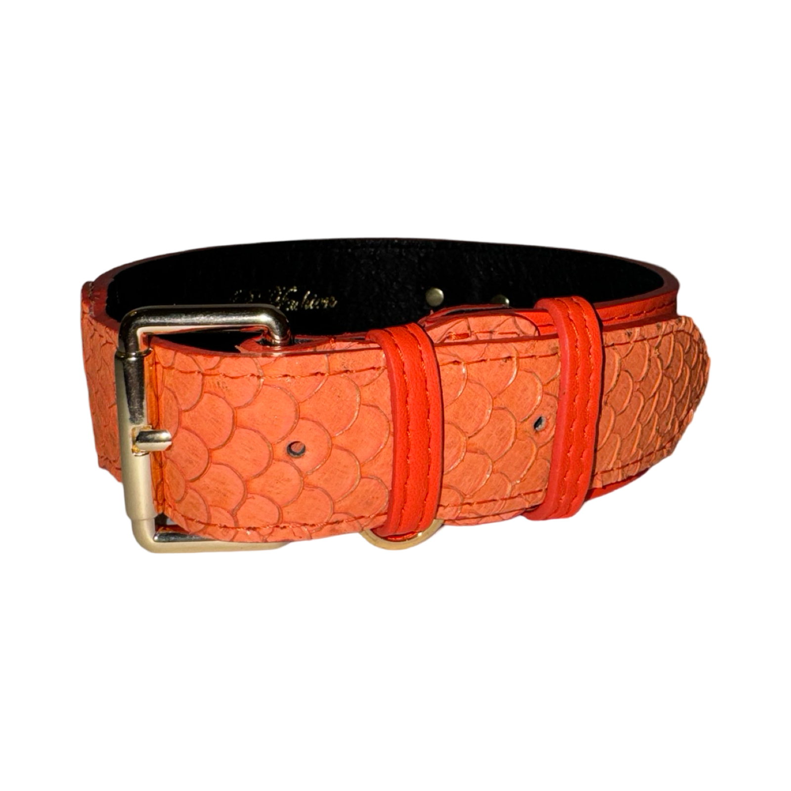 The Perfect Orange Classic Collar showing a mix of orange and gold tilapia skin and orange Italian leather