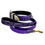 Purple python-textured dog collar with crystal-studded gold buckle and matching purple leather leash featuring gold hardware.