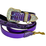 Coiled purple python-patterned belt with a large rhinestone-encrusted buckle and matching rhinestone accented loop and tip, alongside a matching purple leash with gold clasp.