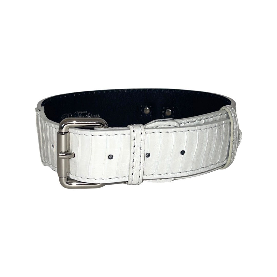 Matte White Snake Classic Collar with silver buckle, posed in bright light on neutral background