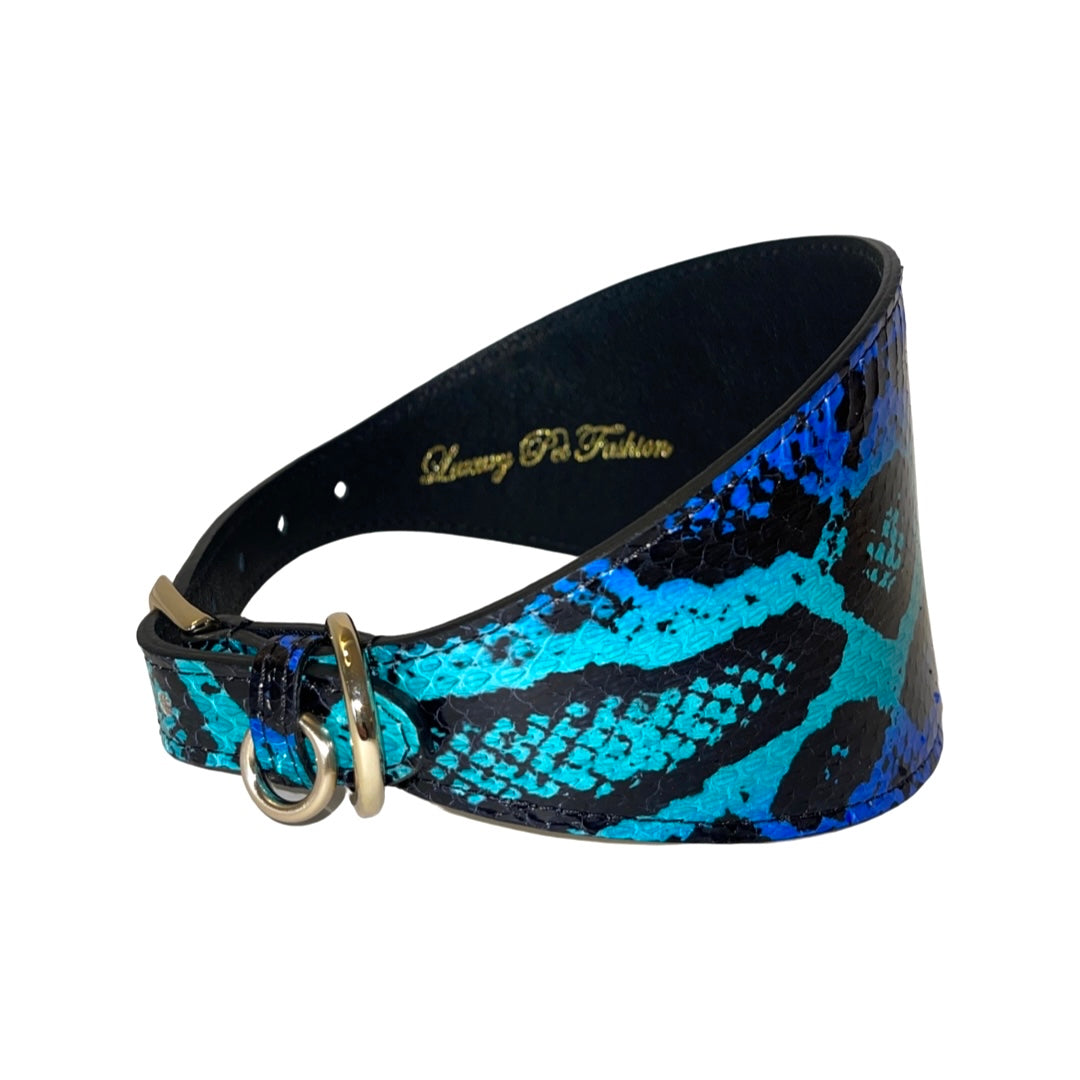 Wide 4-inch collar with glossy electric turquoise blue and black snake pattern and brass buckle hardware, showing curved shape and texture detail.