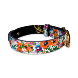 XS dog collar with colorful floral print in orange, purple, blue, and green on a white background with a gold-tone buckle and loop.