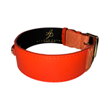 Bright orange leather collar with a textured orange section near the gold-tone buckle and black interior featuring gold foil logo text.