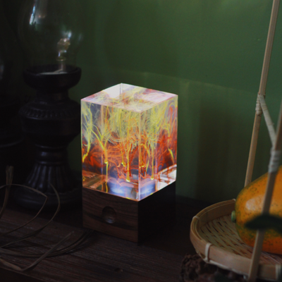 EP Light 4-Pack Resin LED Lights Bundle showing handcrafted resin bulbs and resin table lamp
