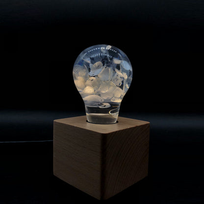Glass light bulb with ice cubes on a wooden base against a dark background