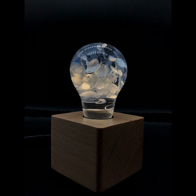EP Light 3-Pack Resin LED Lights Gift Set showing handcrafted resin bulbs with LED lighting