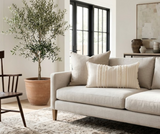Neutral-toned sofa with two textured beige pillows, positioned beside a large potted olive tree and near black-framed windows in a softly lit living room.