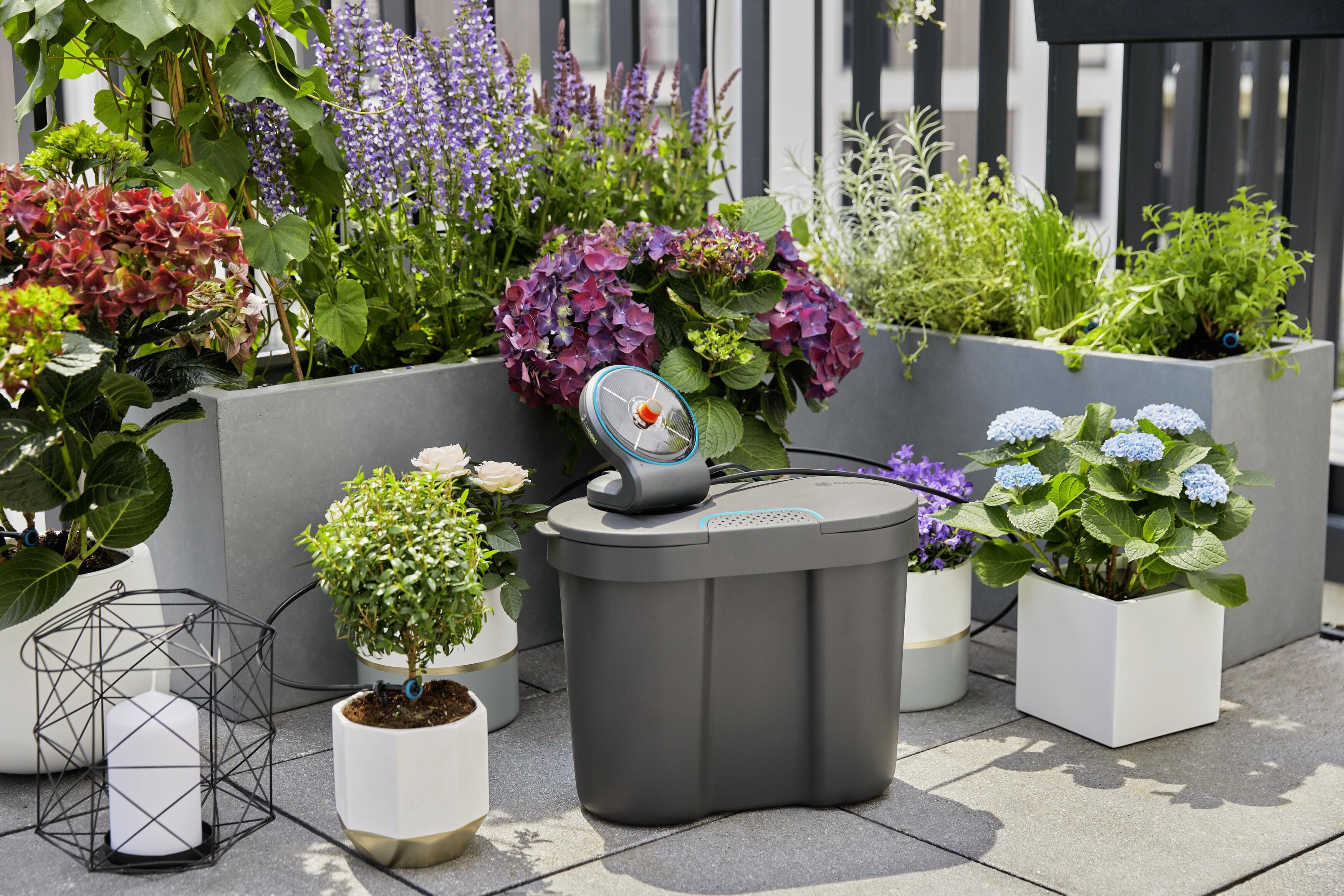 AquaBloom Automatic Plant Watering System detail image - Resin Society