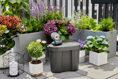 AquaBloom Automatic Plant Watering System detail image - Resin Society