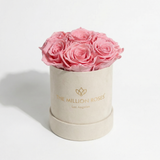 Essence Beige Suede Box containing seven light pink roses arranged neatly inside a muted beige suede container.