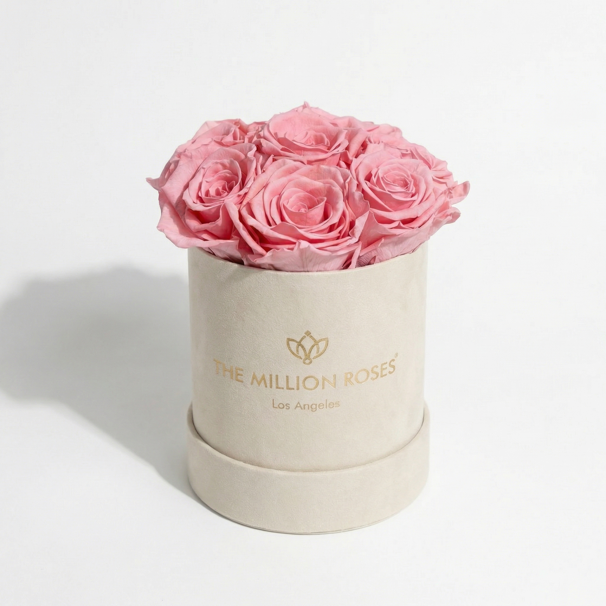 Essence Beige Suede Box containing seven light pink roses arranged neatly inside a muted beige suede container.