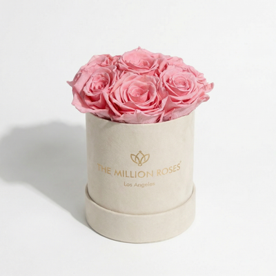 Essence Beige Suede Box containing seven light pink roses arranged neatly inside a muted beige suede container.