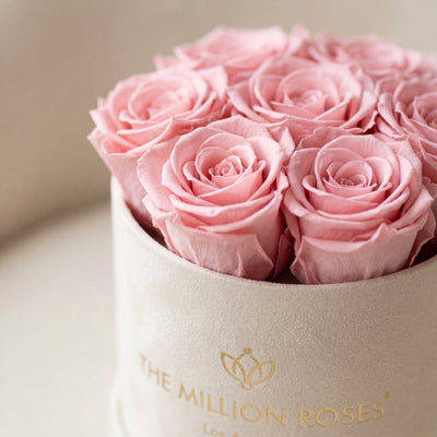 Essence Beige Suede Box | Light Pink Roses