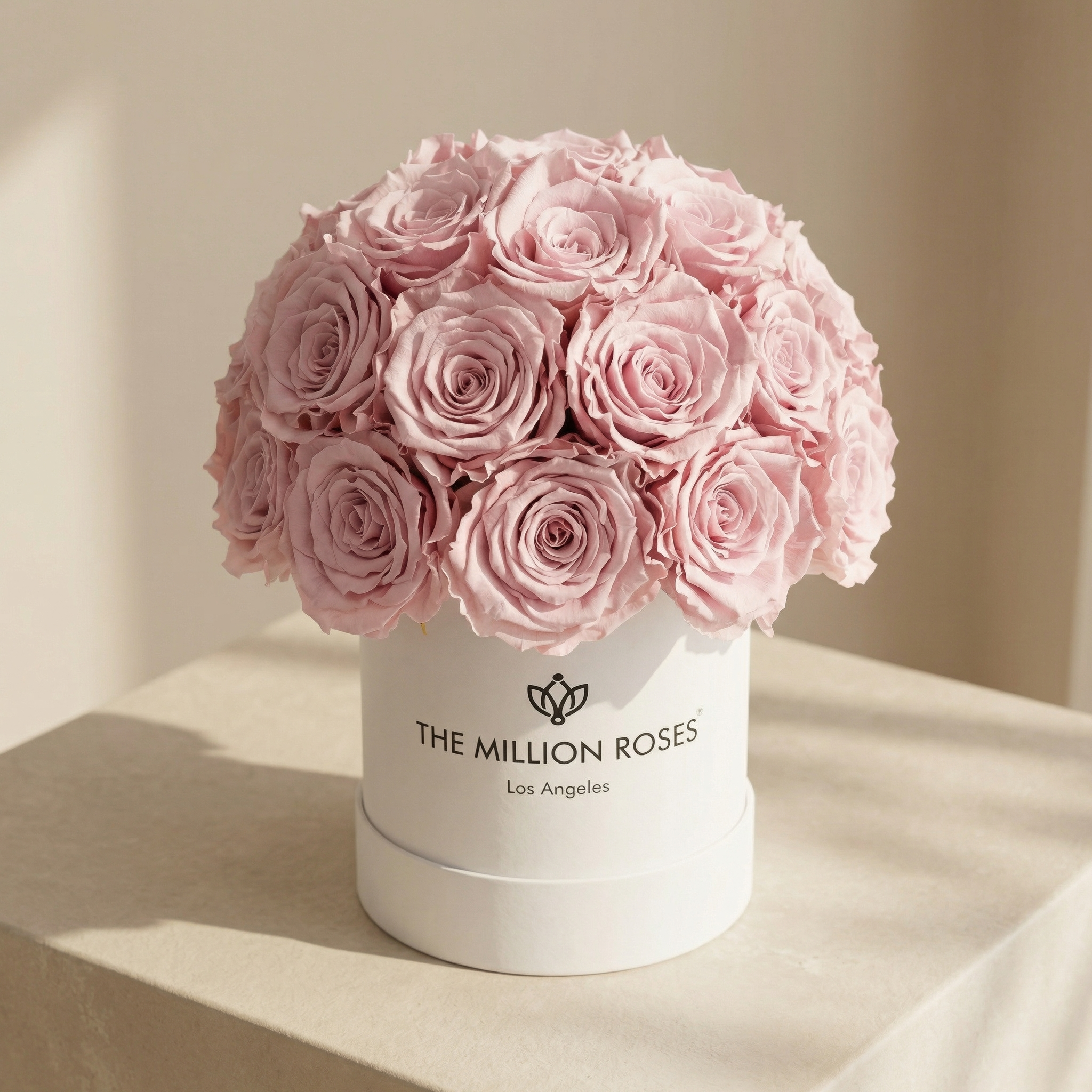 Essence White Superdome Box | Light Pink Roses by The Million Roses