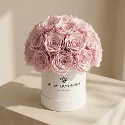 Essence White Superdome Box | Light Pink Roses by The Million Roses
