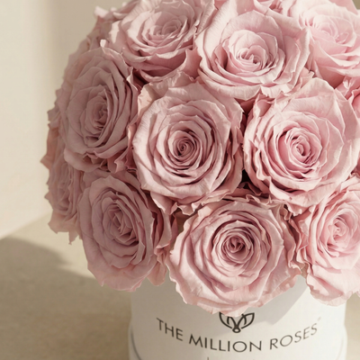 Essence White Superdome Box | Light Pink Roses by The Million Roses