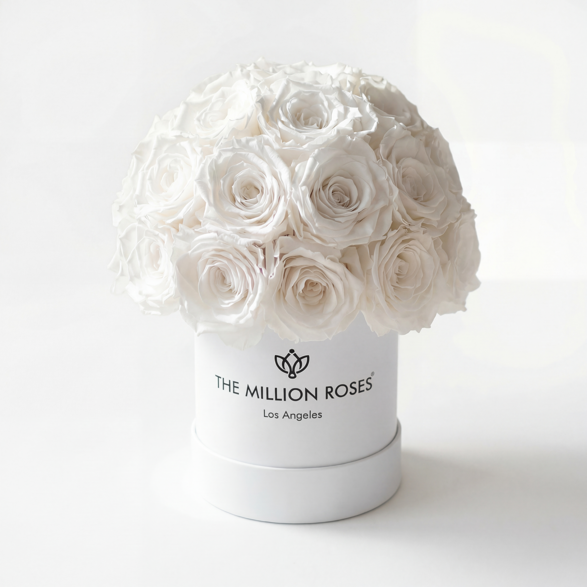 Essence White Superdome Box displaying 38-40 white roses arranged in a rounded dome shape