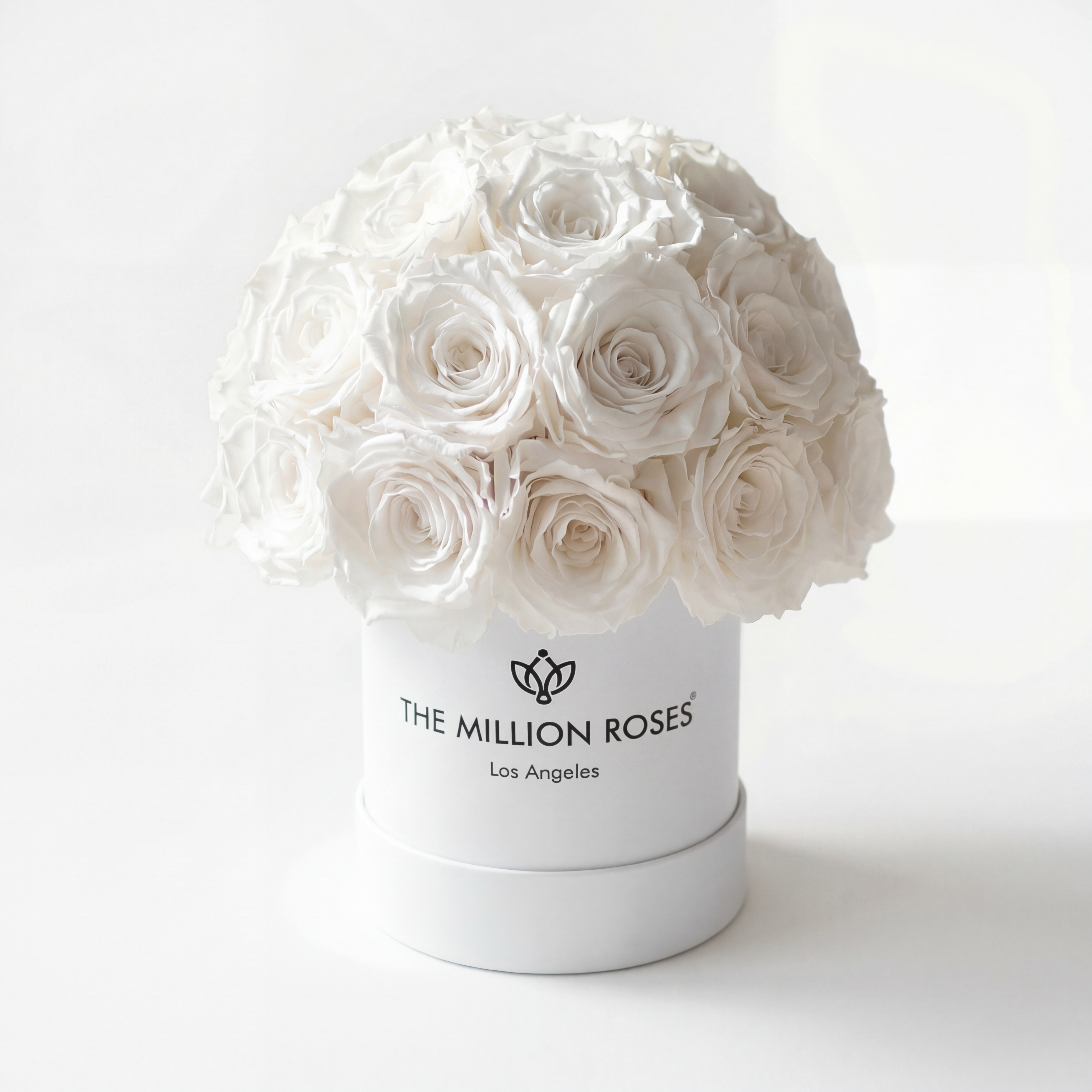 Essence White Superdome Box displaying 38-40 white roses arranged in a rounded dome shape