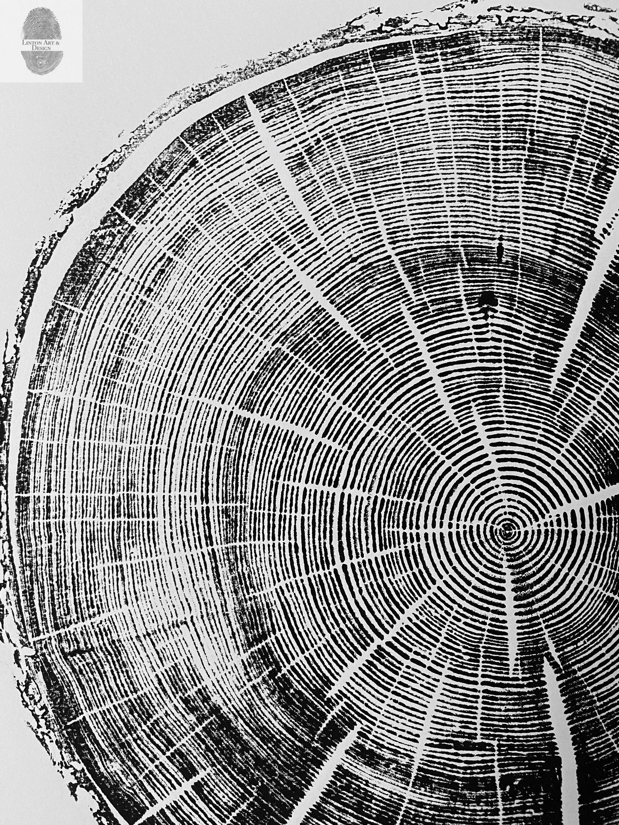 Black Hills South Dakota Woodcut print showing detailed tree rings in black ink on white paper, signed original