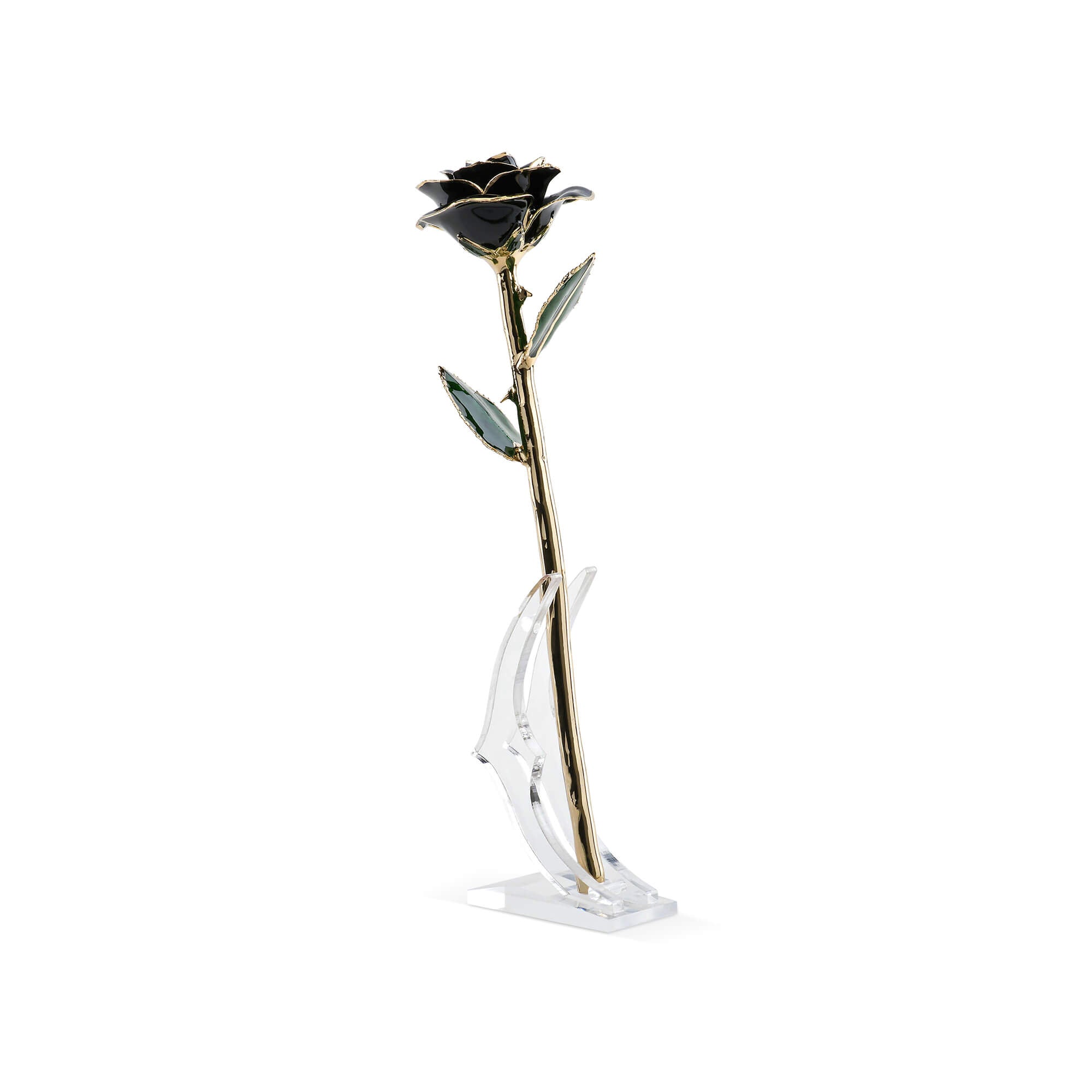 Timeless Rose (Black) in crystal glass dome by ROSEPHORIA