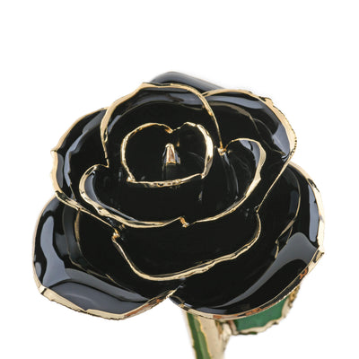 Timeless Rose (Black) by ROSEPHORIA