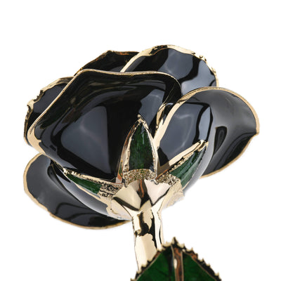 Timeless Rose (Black) by ROSEPHORIA