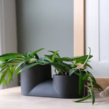 Black double planter with two rounded compartments holding green leafy plants, placed on a light wood surface against a gray wall and framed art.