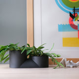 Matte black double planter with two connected round pots holding green trailing plants, set on a light wood surface with colorful abstract wall art behind it.