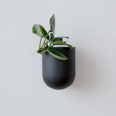 Bender Wall Planter in black ceramic seen from front angle