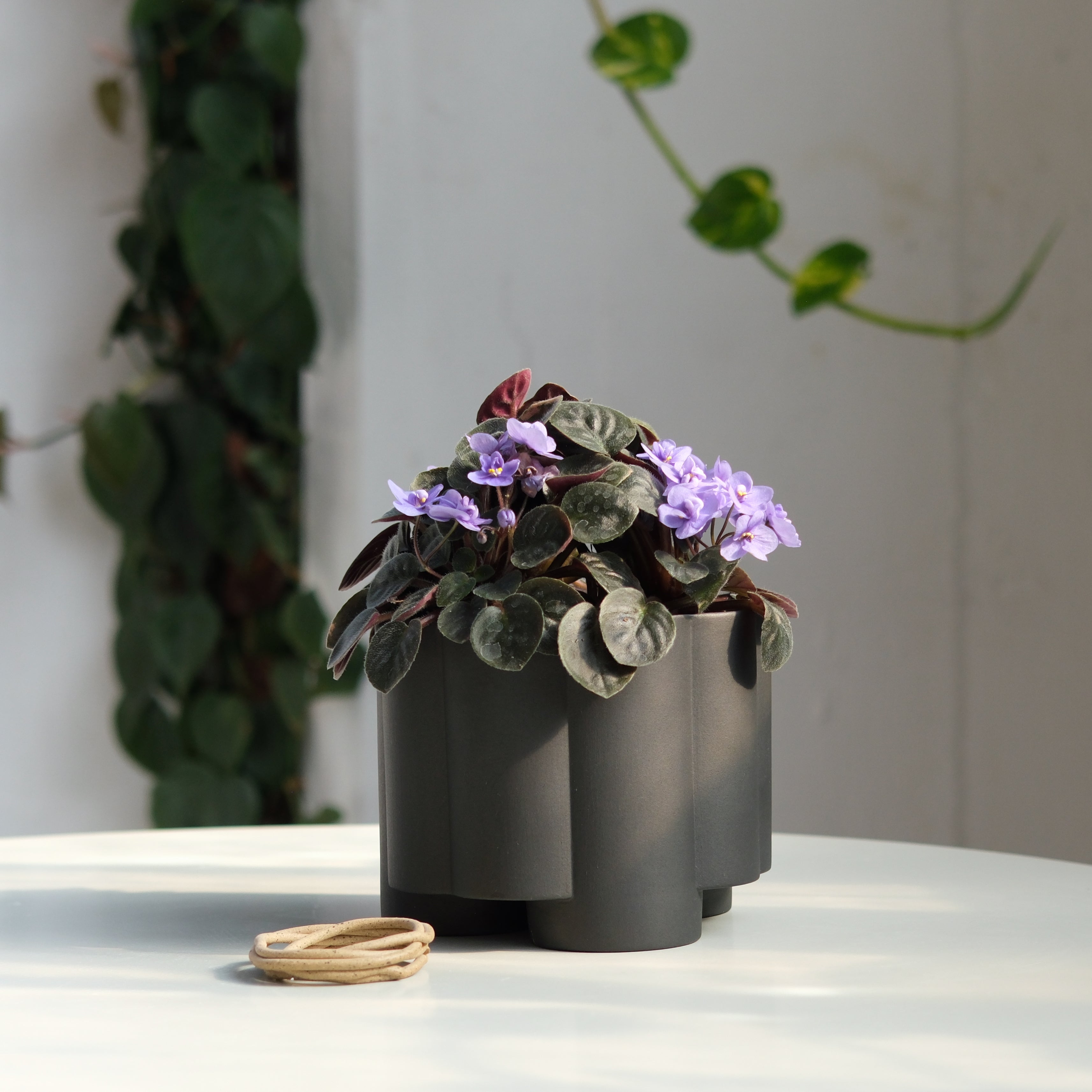 Pillar Planter by Misewell